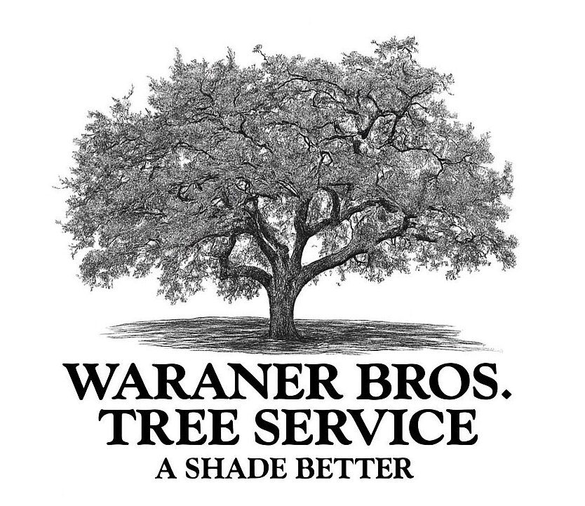Profile picture of Waraner Bros Tree Service